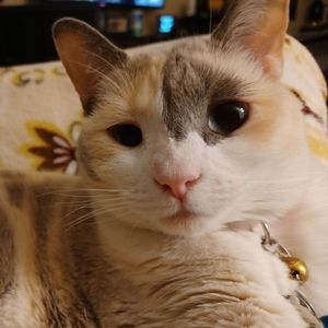 Meet your Posher, Ednita